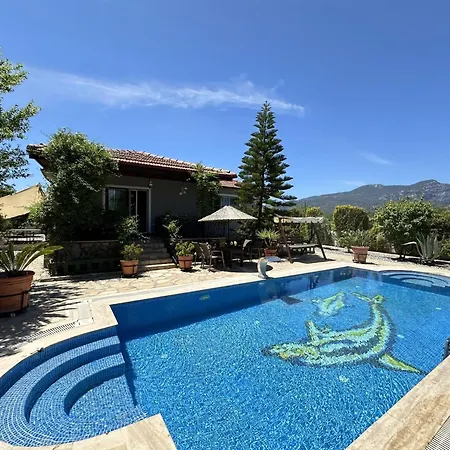 Villa 4 Bedroom In Dalyan With Nature View Mugla
